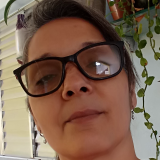 Diarista Edlucia