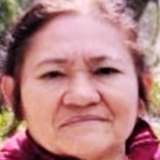 Diarista Ninete